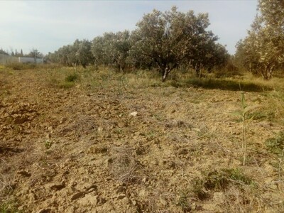 1000 m a cote mer a bouficha a vendre