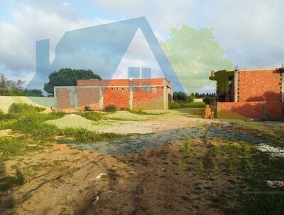 profitiez terrain de 300 m² à kélibia