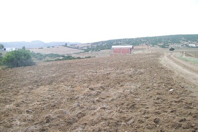 A Vendre terrain de 2 hectar situé à  tel jawal