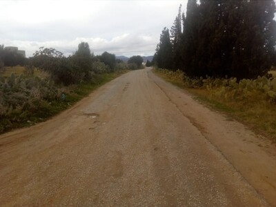 terrain a sidi jedidi