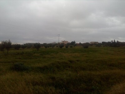 terrain 10 min a hammamet