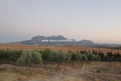 The Farm av à L entree de zaghouan