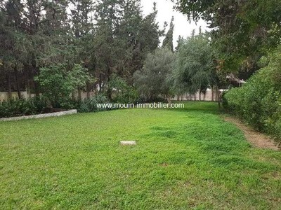 DAR THE PRINCEi Gammarth Superior A