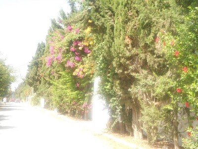 for sale a lot of land in North hammamet