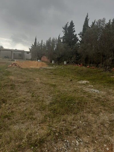 terrain de 200 à sidi hammed