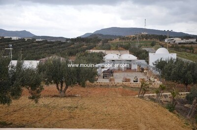 Terrain Jihen Hammamet Birbouregba