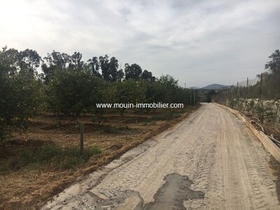 Ferme Nocturne à v à Hammamet Birbouregba