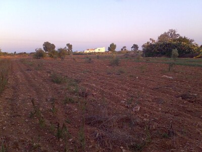 TerrainMaamoura M av à Nabeul