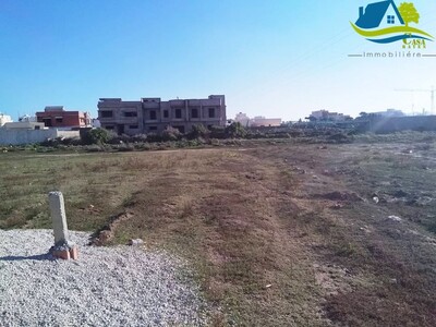 terrain de 300 m² à mansoura