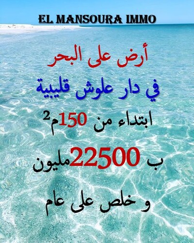 exceptional land offers feet in the water