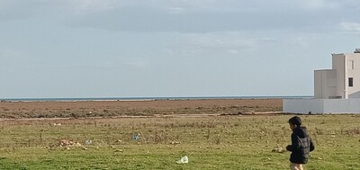 terrain la plage 300m