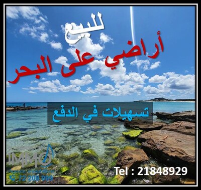 terrain vu sur mer a dar alouche kélibia