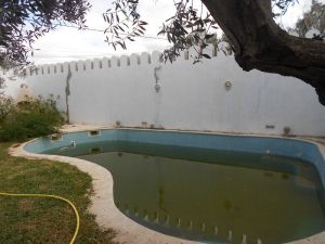 AV une villa qui a un style typique hammametois à hammamet