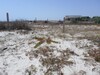 terrain 500m front de mer ain grenez