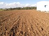 terrain agricole 4 hec wed elkhatf