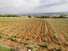 terrain agricole 1200m tamzrat