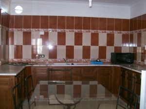 Appartement S+2 meublé (LA :421)+
