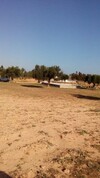 Terrain à 500m de la route de jerba zarzis