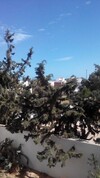 Appartement au centre ville de zarzis