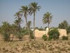 Terrain à investir à Djerba pour promoteur projet maison d’hôte