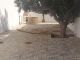 Une nouvelle Maison situé à Beni wael hammamet