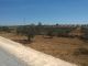 T Agricole: 18H Sortie BOUFICHA 9 Km Rte Groudronnée