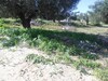 Lotissement viabilisé pas loin Hammamet 440 m