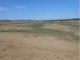 Terrain pas loin Yasmine Hammamet 1000 m