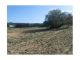Lot 10000 m pas loin Hammamet