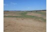 Terrain 1000 m proche de Yasmine Hammamet