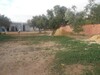 Terrain 20 MD pas loin de Yasmine Hammamet