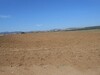 Terrain 7000 m pas loin de Yasmine hammamet