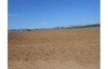 Terrain 7000 m pour faire investir