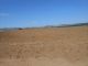 Lot de terrain 7000 m excellent investissement