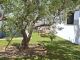 Beautiful villa with pool of 600m not far from hammamet yasmine