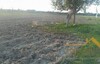 terrain agricol 6hectar jradeau zaghoin