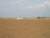 TERRAIN 6500 HAMMAMET SUD