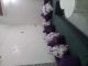 vendre a hammamet centre villle un appartement RDC EM