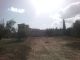 Terrain 741 m bonne affaire pas loin Hammamet