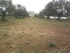 650 m mrezga Hammamet North field