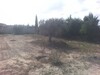 Terrain 741 m village pas loin Hammamet