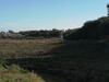 terrain constructible à haouaria