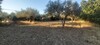 terrain agricole 6800m² à dar chaaben nabeul titré