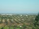 terrain agricole 10 hectare titré à sidi said bouficha
