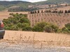 terrain agricole 100 hectare et 4000m² bou arada elfahs titré