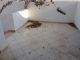 Appartement sans meubles RDC Hammamet ville