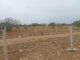 Terrain 2 hectare 2000m pas loin Yasmine Hammamet