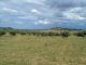AV field of 4100m in zriba zaghouan 99958728