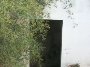 VILLA ZHANG HAMMAMET