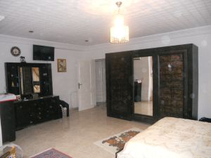 very luxury furniched villa